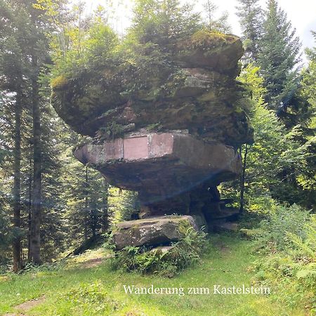 3- 2-1 - Raum - Ferienappartements Dieter Hoffmann Freudenstadt-Kniebis Beim Nationalpark Ngoại thất bức ảnh