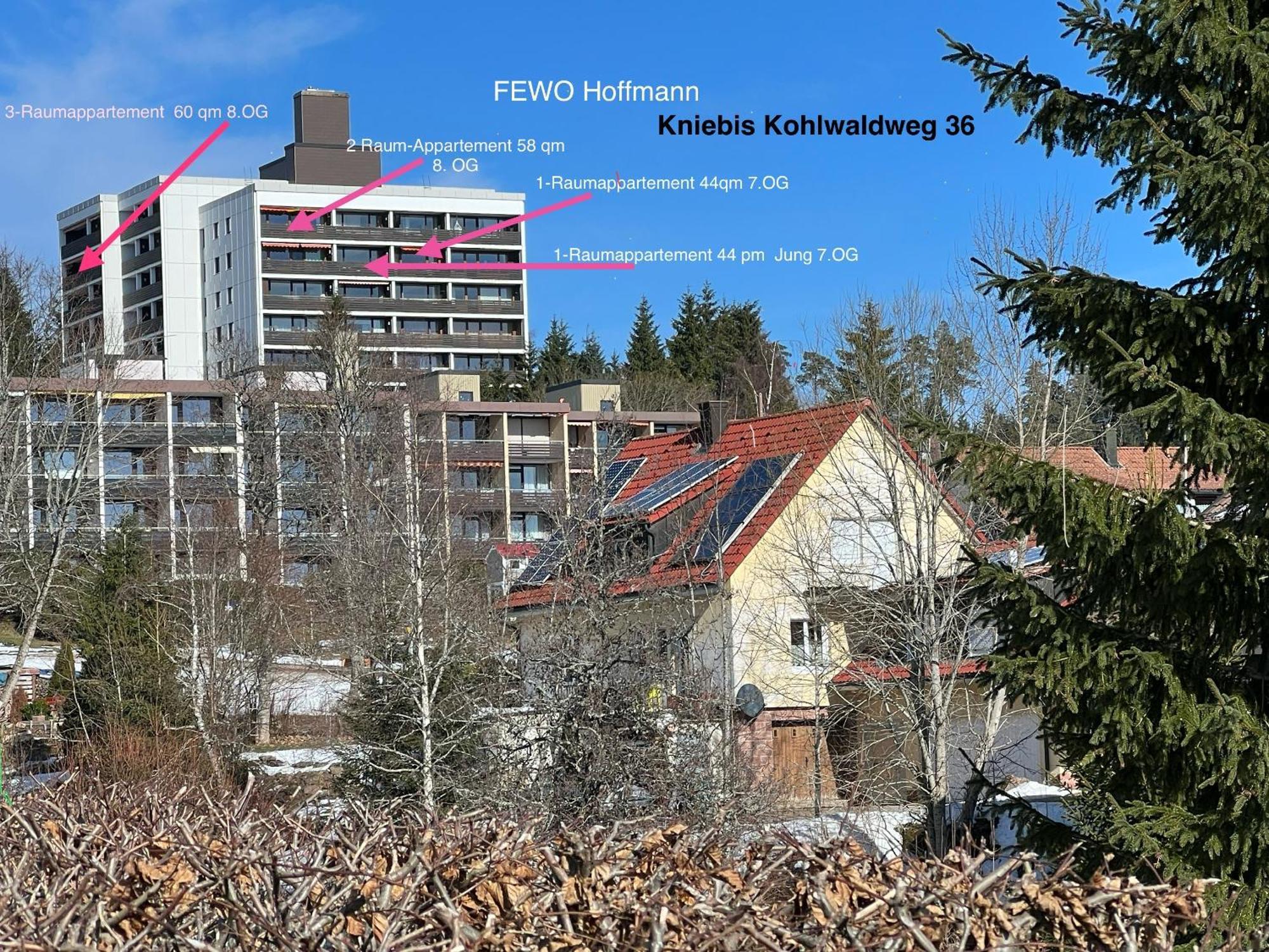 3- 2-1 - Raum - Ferienappartements Dieter Hoffmann Freudenstadt-Kniebis Beim Nationalpark Ngoại thất bức ảnh