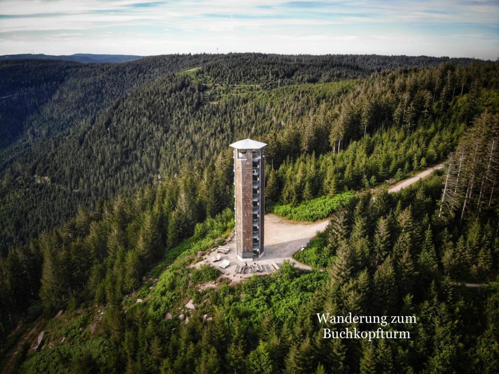 3- 2-1 - Raum - Ferienappartements Dieter Hoffmann Freudenstadt-Kniebis Beim Nationalpark Ngoại thất bức ảnh