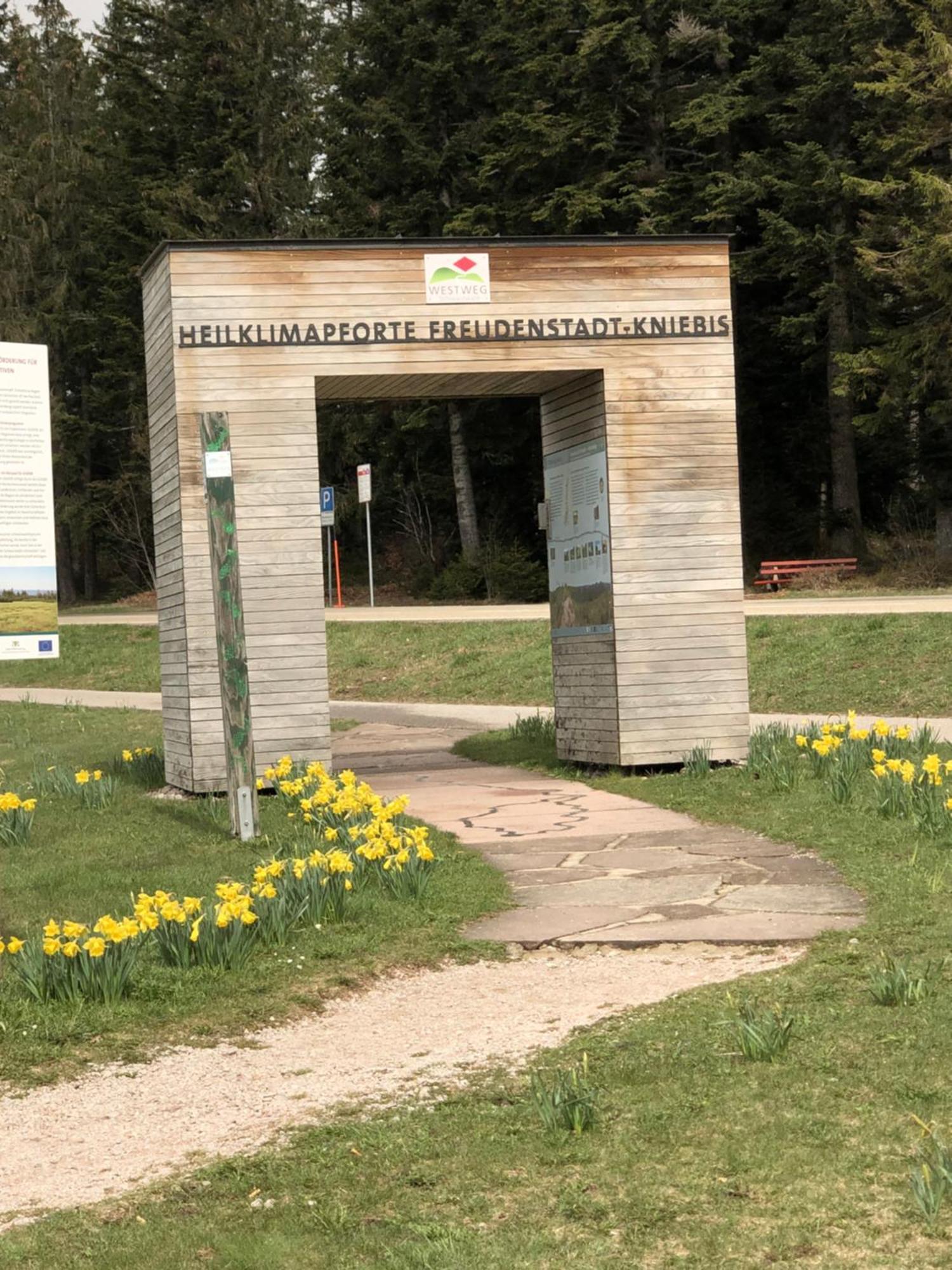 3- 2-1 - Raum - Ferienappartements Dieter Hoffmann Freudenstadt-Kniebis Beim Nationalpark Ngoại thất bức ảnh